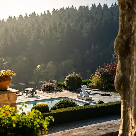 Chateau De Cachard Guest house Boffres
