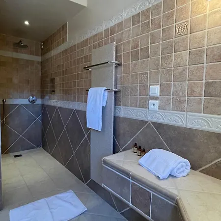 Chateau De Cachard Guest house Boffres